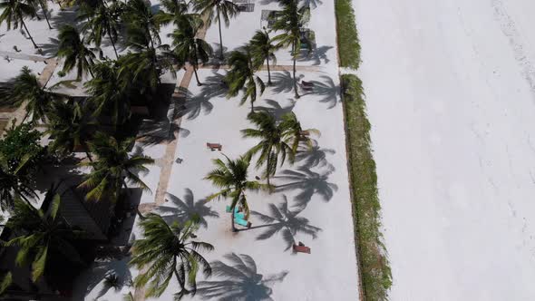 Ocean Coastline with Paradise Beach Hotels and Palm Trees Zanzibar Aerial View