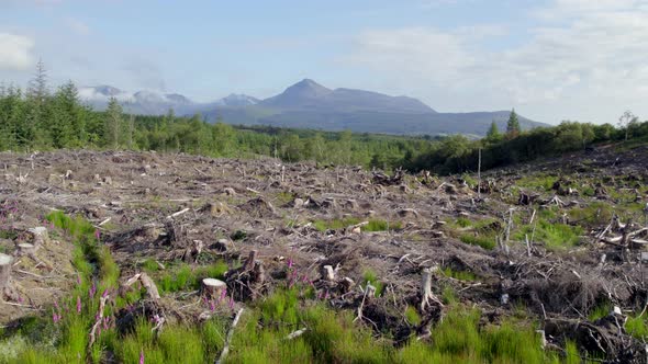 Agroforestry Following Deforestation of a Woodland Plantation Habitat Flyover