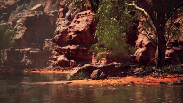 Colorado River Flows Through the Grand Canyon