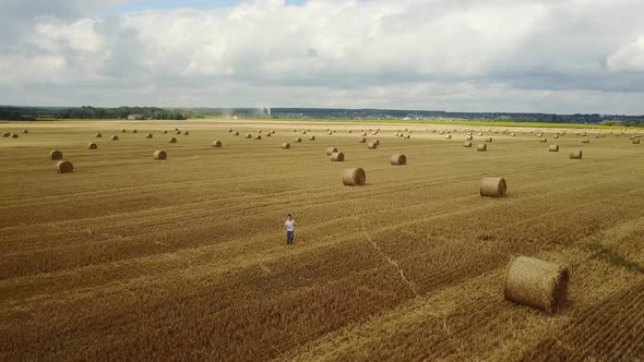 Child Boy in the Field