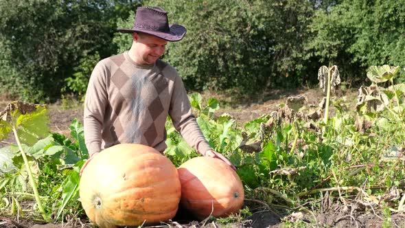 A Young Farmer Rejoices at a Large Harvest of Pumpkins