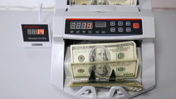 USD on money counting machine. Woman putting money into counting machine