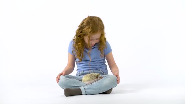 Redheaded Little Girl with Curly Hair Is Holding Hedgehog at White Background. Slow Motion
