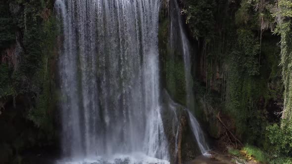 Waterfall surrounded by greenery alt