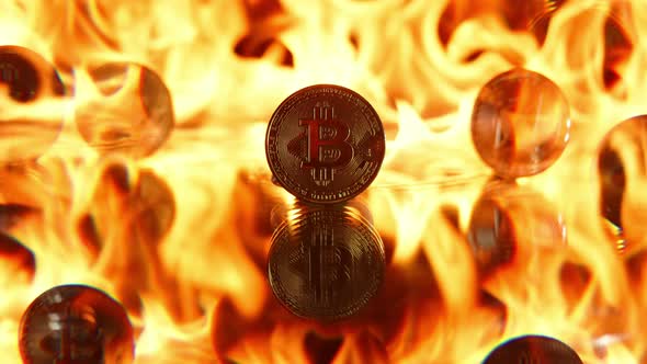 Bitcoin Cryptocurrency Gold Coin is on Fire
