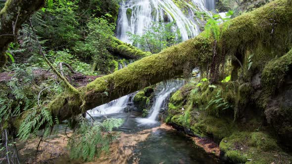 Panther Creek Falls Time Lapse