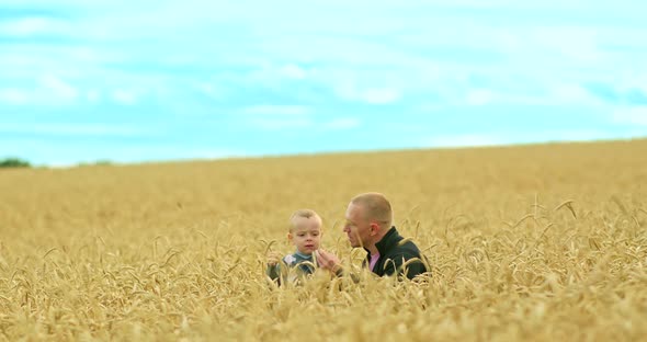 Young Dad with a Little Son are Sitting in a Wheat Field Dad is Showing Ears of Wheat to His Son