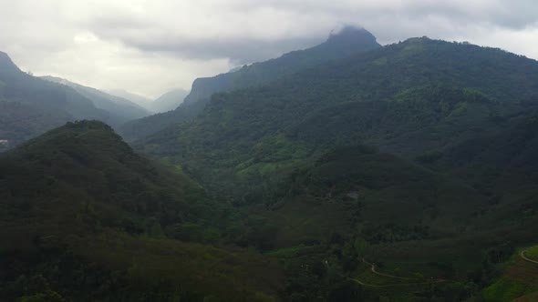 Agricultural Land with Sown Green Fields in Countryside alt