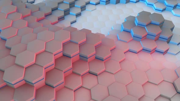 Multi Color Hexagons