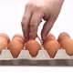 Close Up of Close Up of a Hand Picking Out One White Chicken Egg in Between Brown Eggs in a - VideoHive Item for Sale