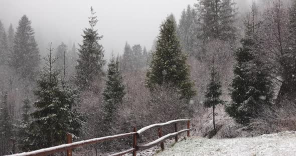 Snowfall in Winter Mountains