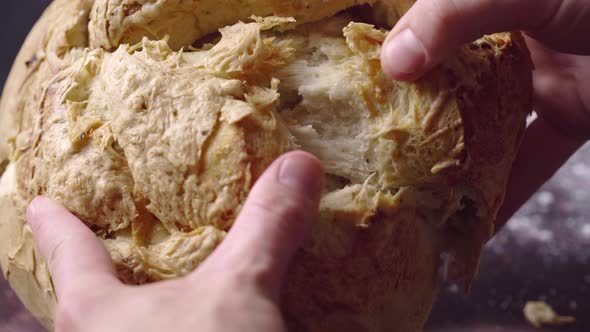 Hands Breaking Apart Fresh Baked Bread, Close Up