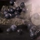 Blueberries on Rocks and in Clouds of Smoke - VideoHive Item for Sale