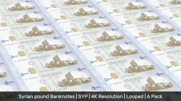 Syria Banknotes Money / Syrian lira / Currency £S / SYP / 6 Pack - 4K