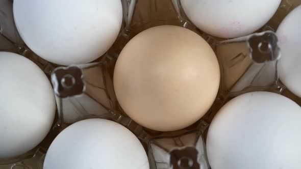 Fresh Raw Chicken Eggs Rotate in Circle in Transparent Plastic Egg Box on Farm or in Market