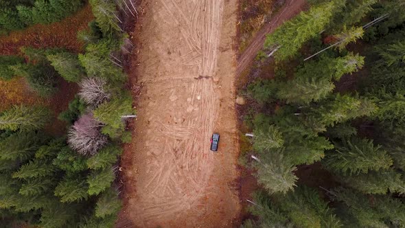 Drone Shot Over Forrest Mud Road With Pine Trees