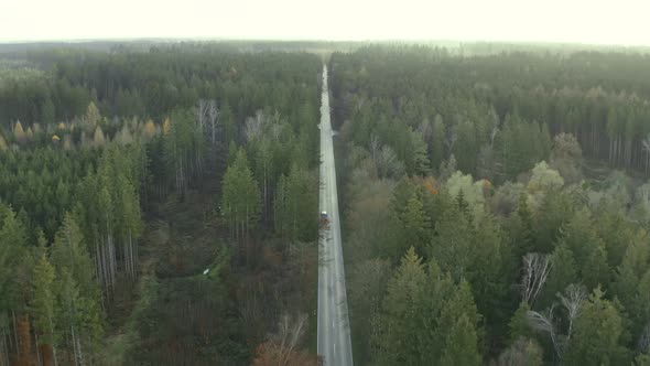 Following a car in front view from a drone flying in it's driving direction over a autumn colored fo