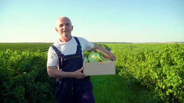 Happy Senior Farmer Walking with a Box of Organic Vegetables and Looking at Camera