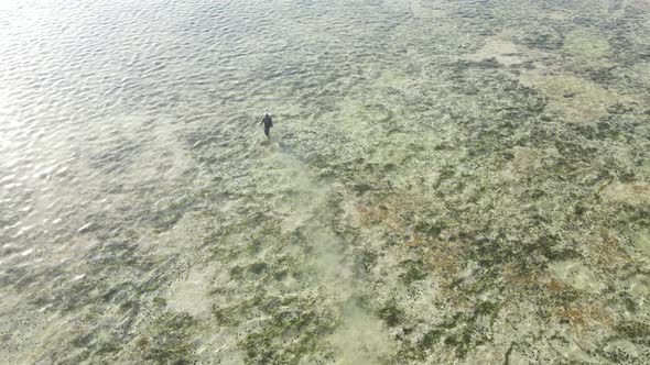 Man Walks Along the Beach at Low Tide in Zanzibar Tanzania Slow Motion