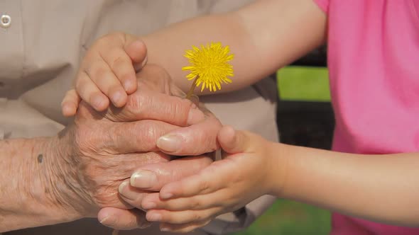 Hands of the Elderly