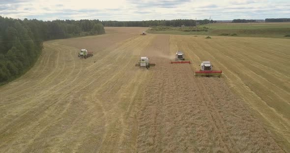 Upper View Threshers with Grain Platforms Harvest Cereal