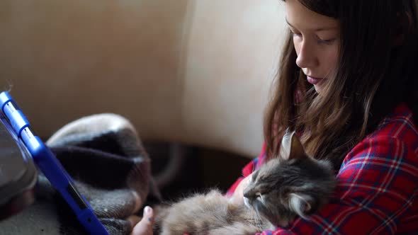Girl in pajamas watching tablet and stroking cat alt