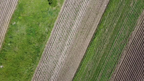 Aerial drone view of a flying over the rural agricultural landscape.