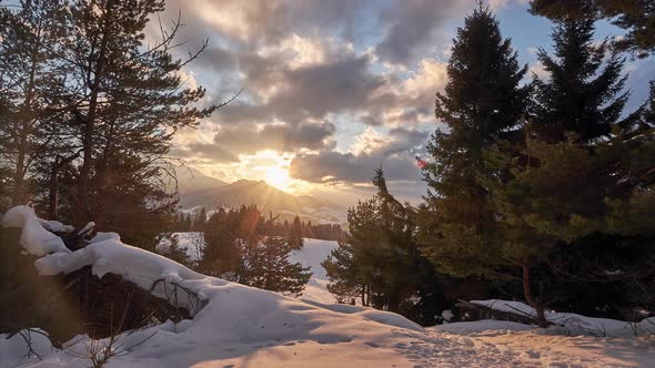 The Sun Setting Behind the Hills the Trees Swaying in the Wind Pine Trees Under Bright Evening