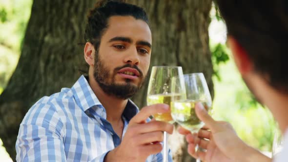 Happy two couples toasting wine glasses