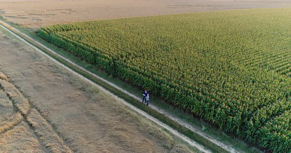 Young Farmers Discussing At Maize Field Agriculture