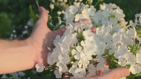 Man Takes Flowers in an Armful