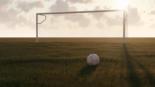 Soccer Ball on Football Pitch Grass