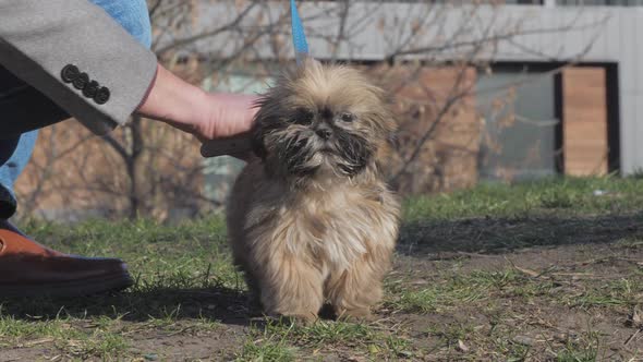 Man Hand in Coat Pets Nice Pedigreed Puppy with Black Nose