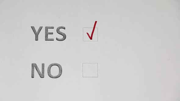 Checklist With Options Of Yes Or No (In English) - Pointing Yes