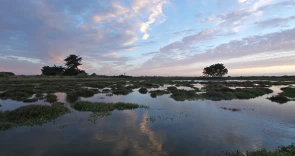 Wild landscape near Penerf, Morbihan department, Brittany, France