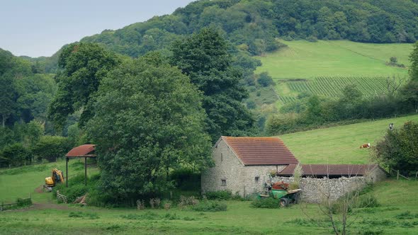 Peaceful Farm Scene With Barn And Cows