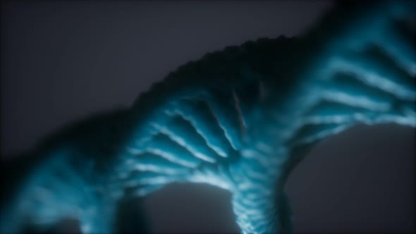 Loopable Structure of the DNA Double Helix Animation alt