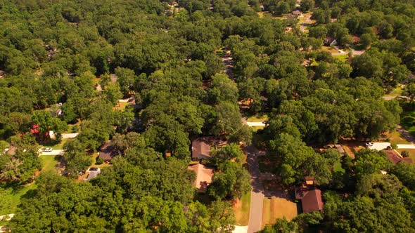 Tallahassee Florida Neighborhoods Homes And Gree Oak Trees