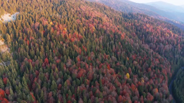 Mountain Ridge with Terracotta Forests Under Cloudy Sky