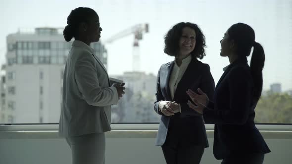 Cheerful Multiethnic Businesswomen Talking in Office