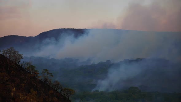 Wide angle shot of a forest fire