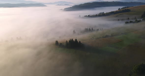 Fog In The Mountains Covers The Entire Surface