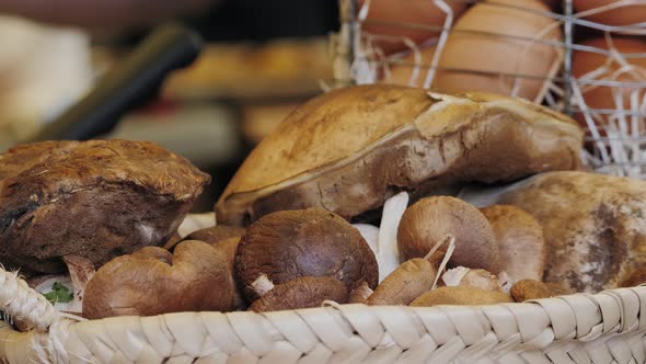 Fresh Mushrooms Portobello on Farmer Market