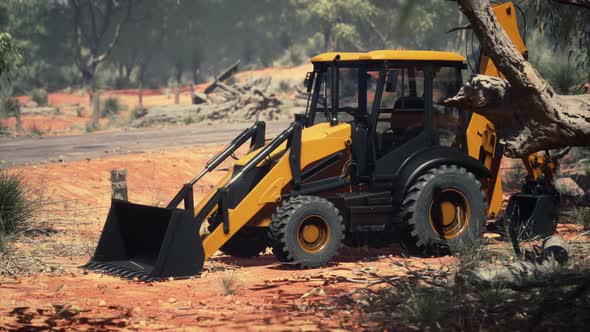 Excavator Tractor in Bush Forest