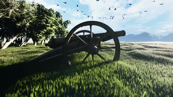 Cannon in a Field alt