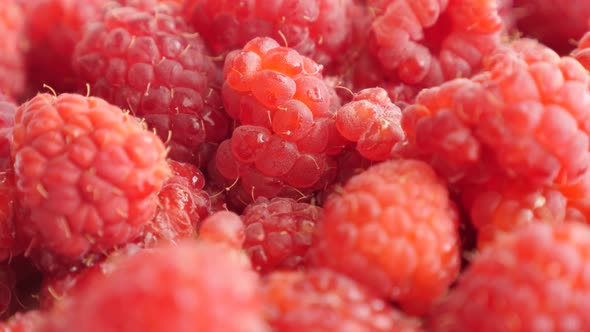 Rubus idaeus  vitamin rich  fruit background slow tilt 4K 2160p 30fps UltraHD footage - Red European