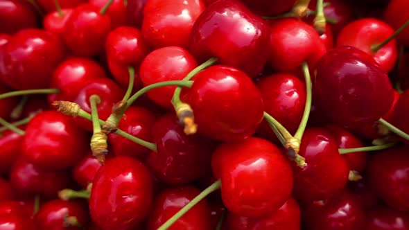 Pile Of Cherries At The Market