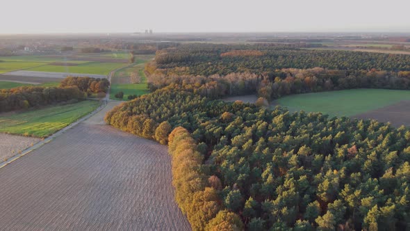 Aerial view of cropland and forest in autumn, Montfort, Limburg, Netherlands.