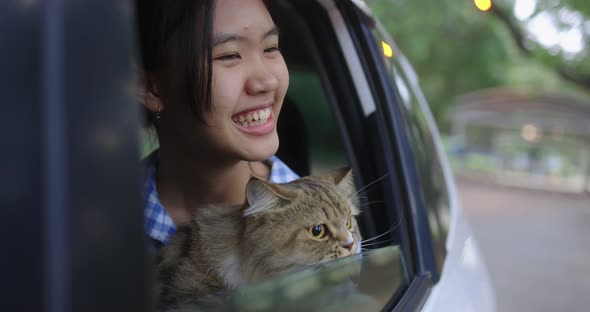 Lovely Asian Girl Holds A Cat On Her Lap In The Passenger Seat Of A Driving Car
