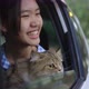 Lovely Asian Girl Holds A Cat On Her Lap In The Passenger Seat Of A Driving Car - VideoHive Item for Sale